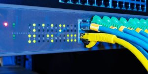 Network server panel on black background in technology concept. Switch and patch cord cables in data room.